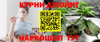 jwh Дубна