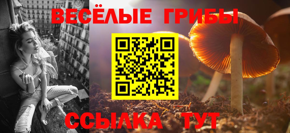 Псилоцибиновые грибы ЛСД  Вход с VPN  Кировск 