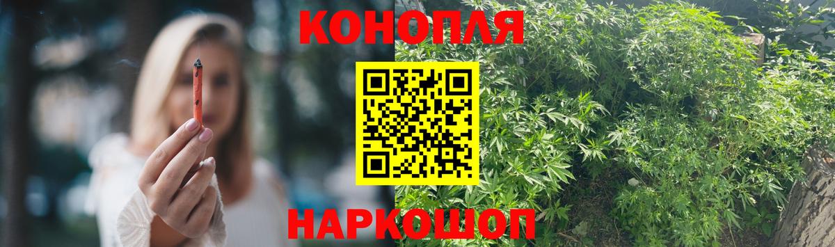 Бошки Шишки гибрид Кировск